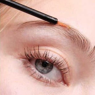 
                  
                    Load image into Gallery viewer, Platinum long lash being applied to eyebrow
                  
                